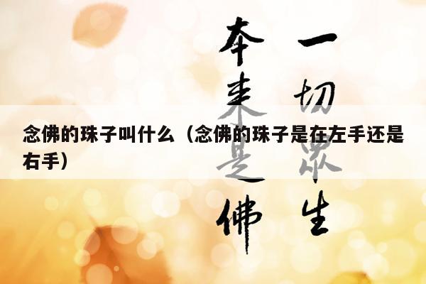 念佛的珠子叫什么（念佛的珠子是在左手还是右手）