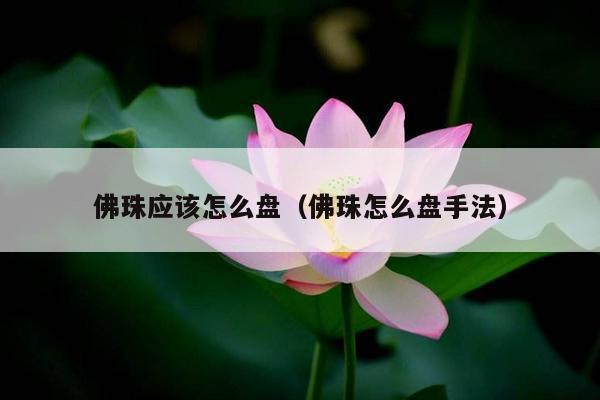 佛珠应该怎么盘（佛珠怎么盘手法）