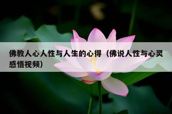佛教人心人性与人生的心得（佛说人性与心灵感悟视频）
