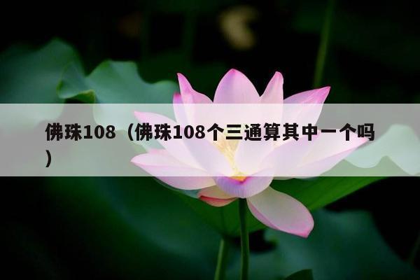 佛珠108（佛珠108个三通算其中一个吗）