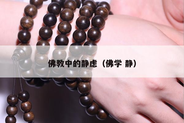 佛教中的静虑（佛学 静）
