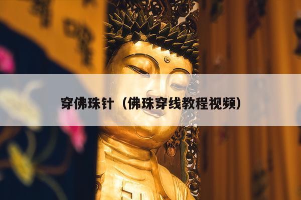 穿佛珠针（佛珠穿线教程视频）