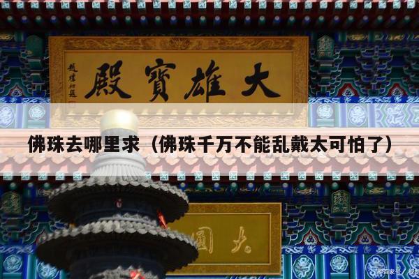 佛珠去哪里求（佛珠千万不能乱戴太可怕了）