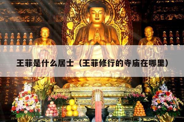 王菲是什么居士（王菲修行的寺庙在哪里）