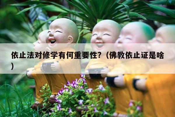 依止法对修学有何重要性?（佛教依止证是啥）