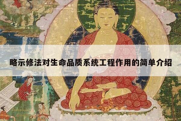 略示修法对生命品质系统工程作用的简单介绍