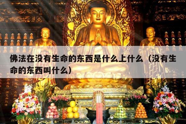 佛法在没有生命的东西是什么上什么（没有生命的东西叫什么）