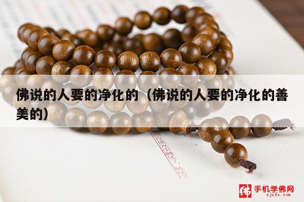 佛说的人要的净化的（佛说的人要的净化的善美的）