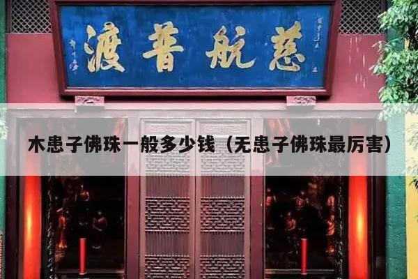 木患子佛珠一般多少钱（无患子佛珠最厉害）