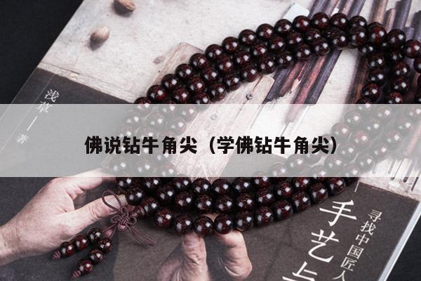 佛说钻牛角尖（学佛钻牛角尖）