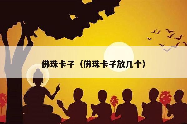 佛珠卡子（佛珠卡子放几个）