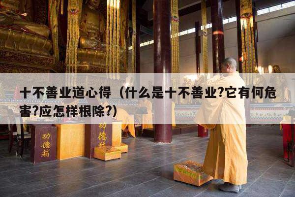 十不善业道心得（什么是十不善业?它有何危害?应怎样根除?）