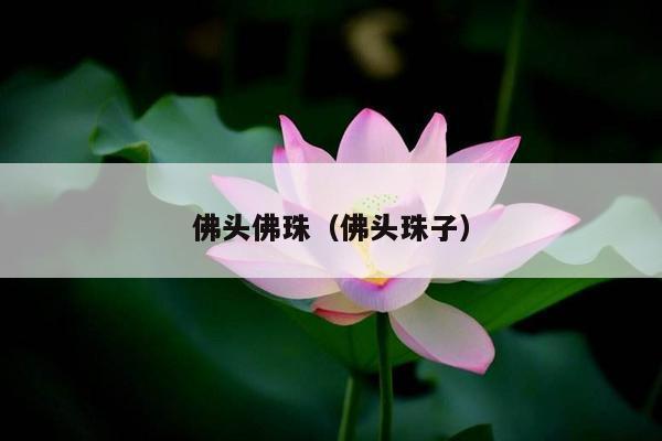 佛头佛珠（佛头珠子）