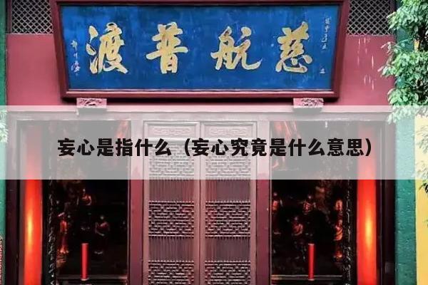 妄心是指什么（妄心究竟是什么意思）
