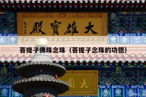 菩提子佛珠念珠（菩提子念珠的功德）