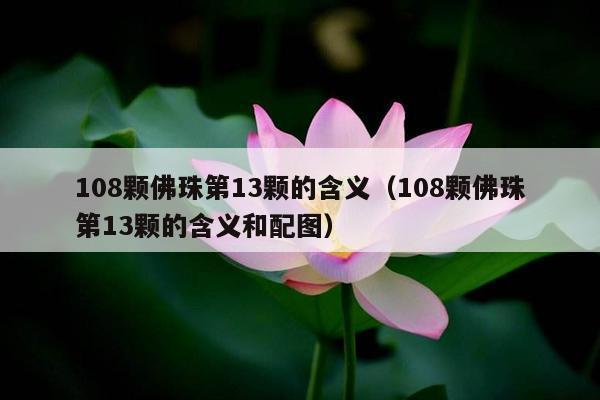 108颗佛珠第13颗的含义（108颗佛珠第13颗的含义和配图）