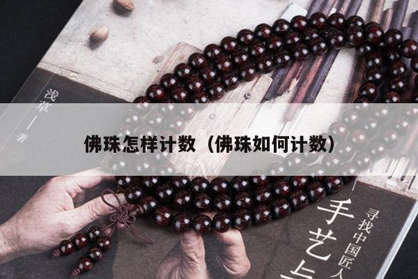佛珠怎样计数（佛珠如何计数）