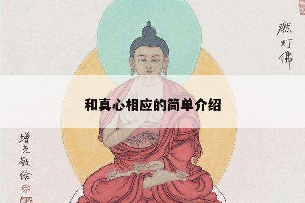 和真心相应的简单介绍