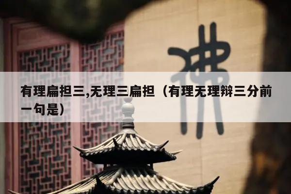 有理扁担三,无理三扁担（有理无理辩三分前一句是）