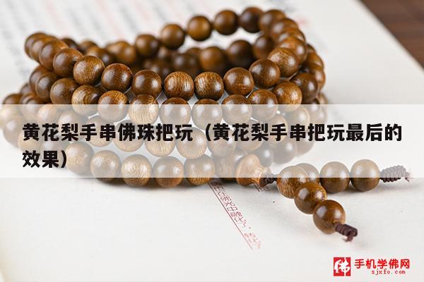 黄花梨手串佛珠把玩（黄花梨手串把玩最后的效果）