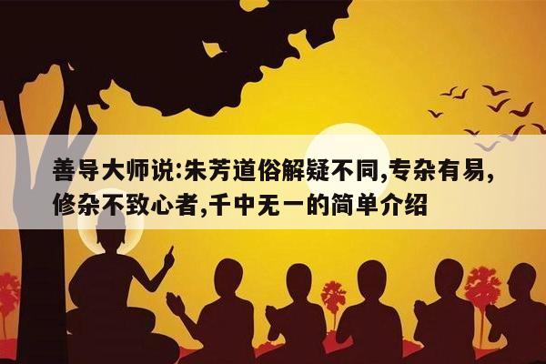 善导大师说:朱芳道俗解疑不同,专杂有易,修杂不致心者,千中无一的简单介绍