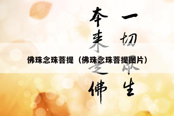 佛珠念珠菩提（佛珠念珠菩提图片）