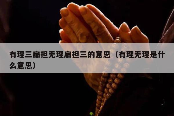 有理三扁担无理扁担三的意思（有理无理是什么意思）