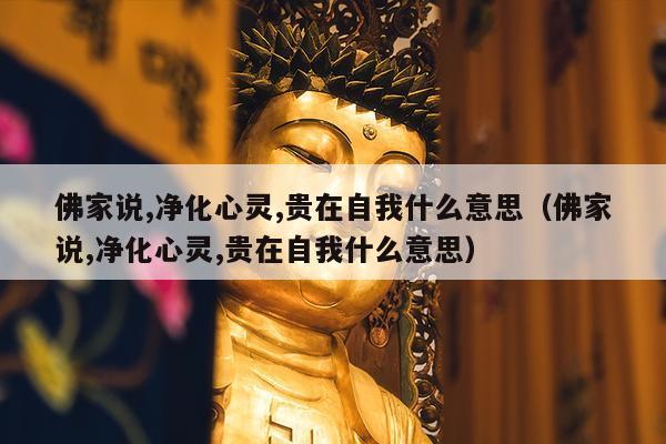 佛家说,净化心灵,贵在自我什么意思（佛家说,净化心灵,贵在自我什么意思）