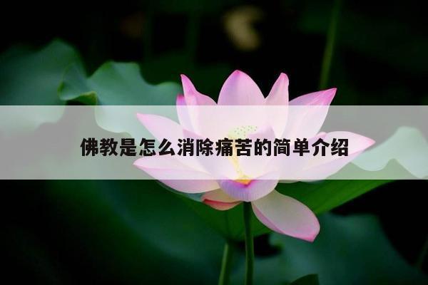 佛教是怎么消除痛苦的简单介绍