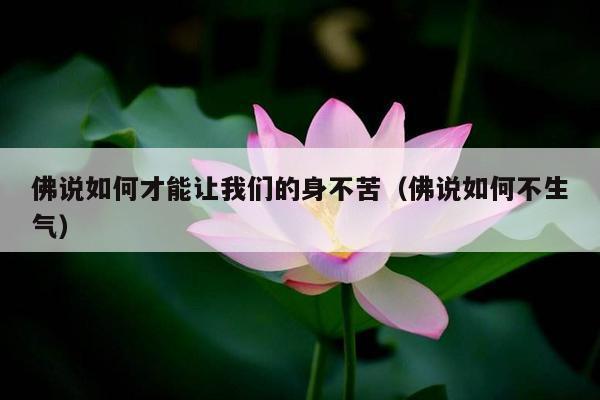 佛说如何才能让我们的身不苦（佛说如何不生气）
