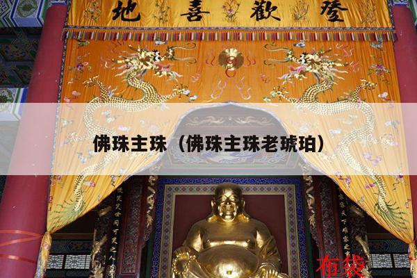 佛珠主珠（佛珠主珠老琥珀）