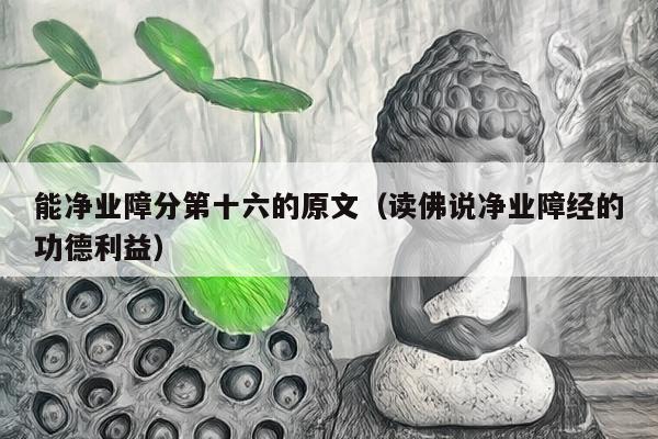 能净业障分第十六的原文（读佛说净业障经的功德利益）