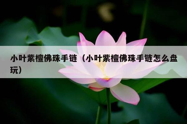 小叶紫檀佛珠手链（小叶紫檀佛珠手链怎么盘玩）