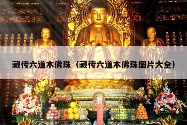 藏传六道木佛珠（藏传六道木佛珠图片大全）