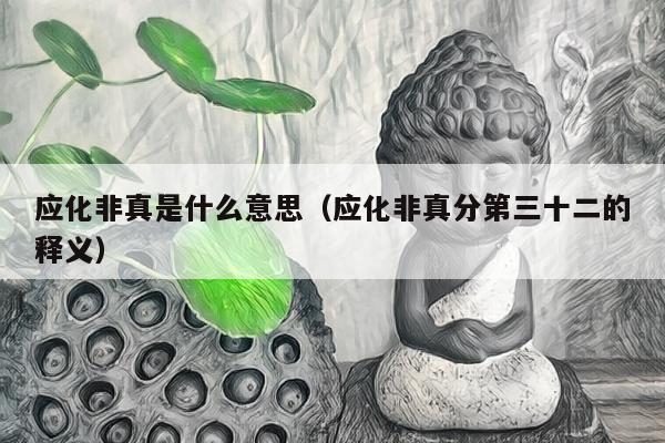 应化非真是什么意思（应化非真分第三十二的释义）