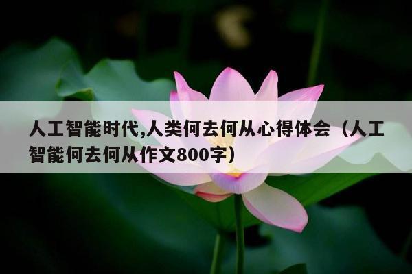 人工智能时代,人类何去何从心得体会（人工智能何去何从作文800字）