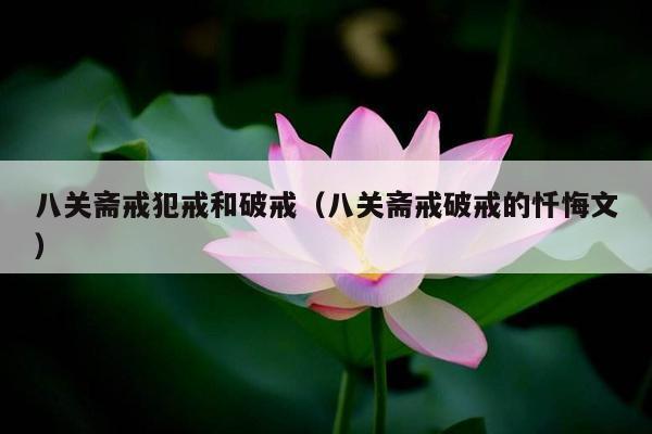 八关斋戒犯戒和破戒（八关斋戒破戒的忏悔文）