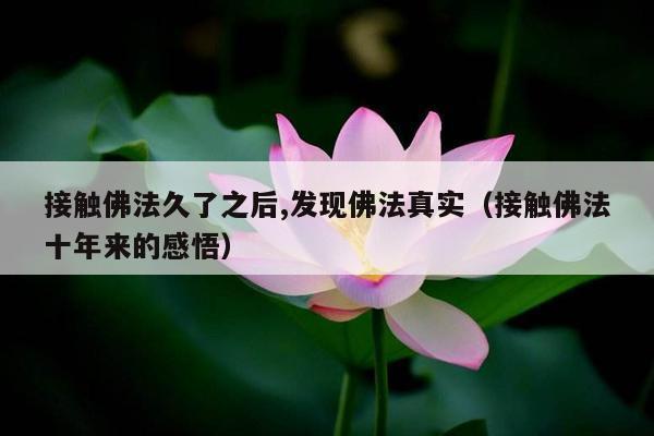 接触佛法久了之后,发现佛法真实（接触佛法十年来的感悟）