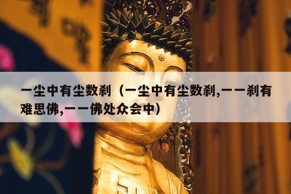 一尘中有尘数刹（一尘中有尘数刹,一一刹有难思佛,一一佛处众会中）