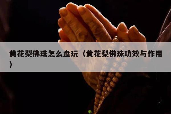 黄花梨佛珠怎么盘玩（黄花梨佛珠功效与作用）