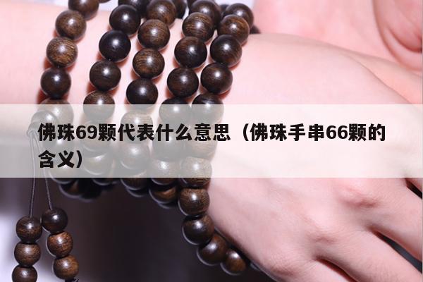 佛珠69颗代表什么意思（佛珠手串66颗的含义）