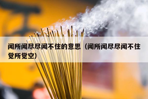 闻所闻尽尽闻不住的意思（闻所闻尽尽闻不住觉所觉空）