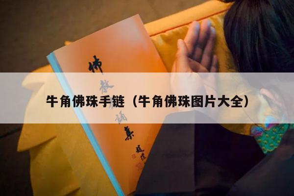 牛角佛珠手链（牛角佛珠图片大全）