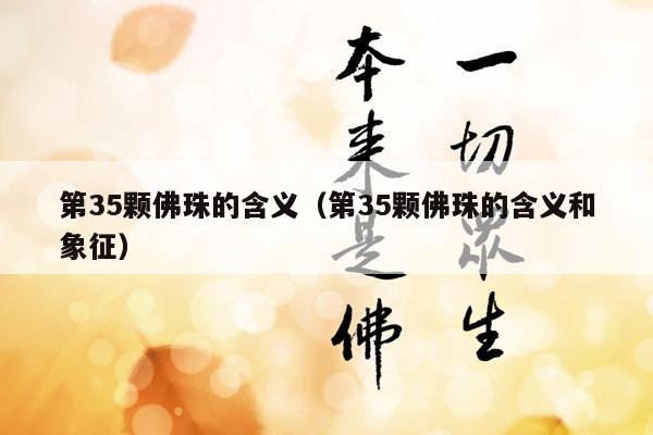 第35颗佛珠的含义（第35颗佛珠的含义和象征）