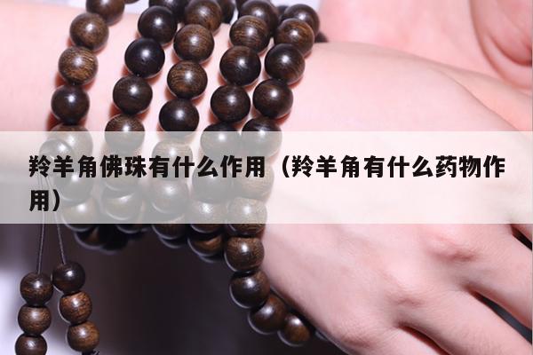 羚羊角佛珠有什么作用（羚羊角有什么药物作用）