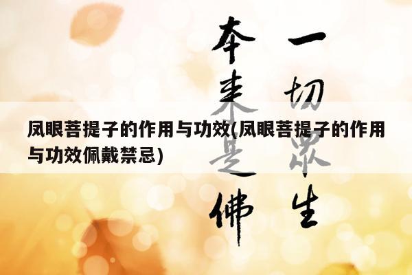 凤眼菩提子的作用与功效(凤眼菩提子的作用与功效佩戴禁忌)