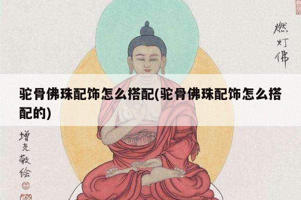 驼骨佛珠配饰怎么搭配(驼骨佛珠配饰怎么搭配的)