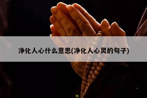 净化人心什么意思(净化人心灵的句子)