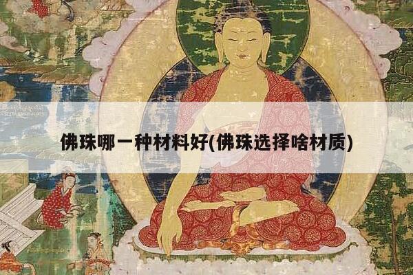 佛珠哪一种材料好(佛珠选择啥材质)