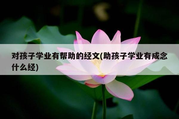 对孩子学业有帮助的经文(助孩子学业有成念什么经)